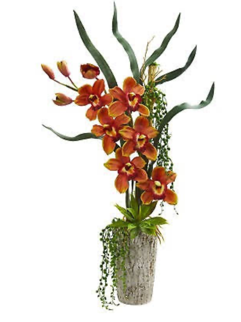 Orquídeas Cymbidium - Fiori Flor Fina